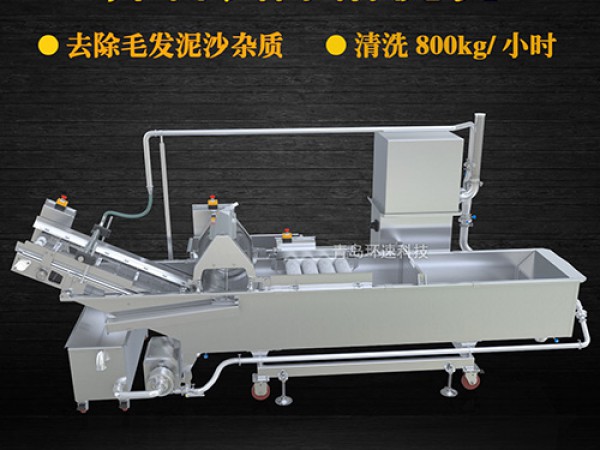 蔬菜清洗機(jī)，氣泡清洗，清洗800kg/小時(shí)