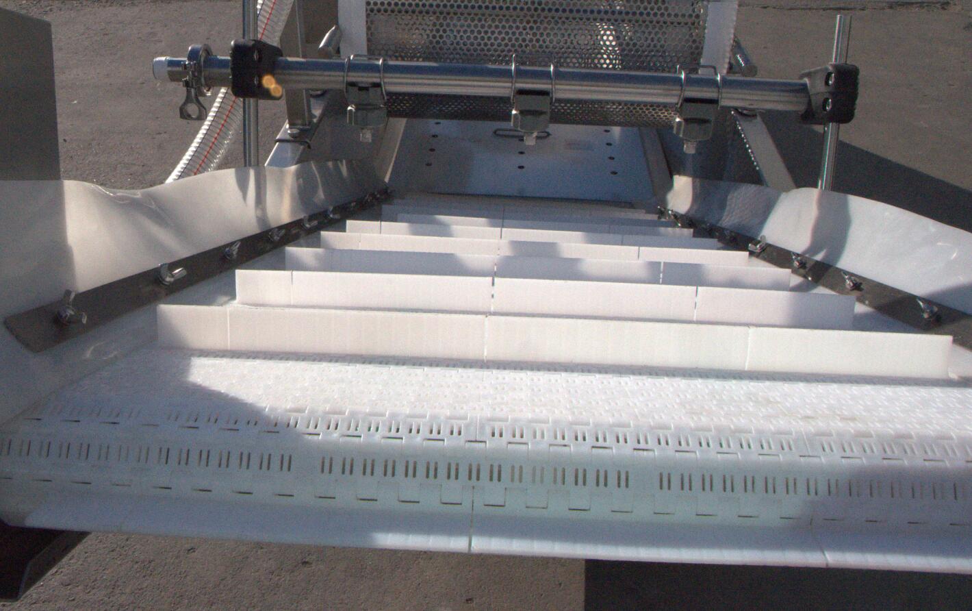 鴨腸的變身過(guò)程，讓你大跌眼驚